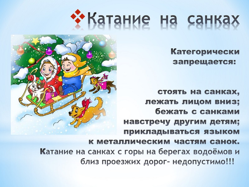 Катание на санках